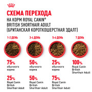 Royal Canin British Shorthair Adult Корм сухой сбалансированный для взрослых британских короткошерстных кошек