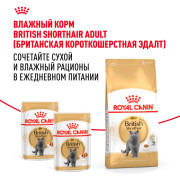 Royal Canin British Shorthair Adult Корм сухой сбалансированный для взрослых британских короткошерстных кошек