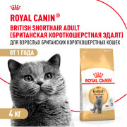 Royal Canin British Shorthair Adult Корм сухой сбалансированный для взрослых британских короткошерстных кошек