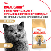 Royal Canin British Shorthair Adult Корм сухой сбалансированный для взрослых британских короткошерстных кошек