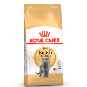 Royal Canin British Shorthair Adult Корм сухой сбалансированный для взрослых британских короткошерстных кошек