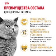 Royal Canin British Shorthair Adult Корм сухой сбалансированный для взрослых британских короткошерстных кошек
