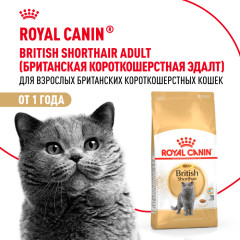 Royal Canin British Shorthair Adult Корм сухой сбалансированный для взрослых британских короткошерстных кошек