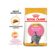 Royal Canin Kitten British Shorthair корм для котят Британских короткошерстных