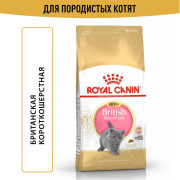 Royal Canin Kitten British Shorthair корм для котят Британских короткошерстных