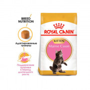 Royal Canin Kitten Maine Coon корм для котят породы Мейн-кун