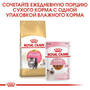 Royal Canin Kitten Persian корм для котят персидской породы
