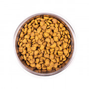 Monge Cat Hairball корм для кошек для выведения комков шерсти