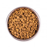 Monge Cat Indoor корм для домашних кошек