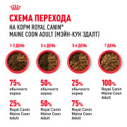 Royal Canin Maine Coon Adult Корм сухой сбалансированный для взрослых кошек породы Мэйн Кун