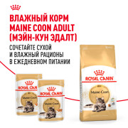 Royal Canin Maine Coon Adult Корм сухой сбалансированный для взрослых кошек породы Мэйн Кун