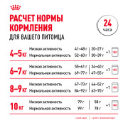 Royal Canin Maine Coon Adult Корм сухой сбалансированный для взрослых кошек породы Мэйн Кун