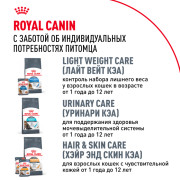 Royal Canin Maine Coon Adult Корм сухой сбалансированный для взрослых кошек породы Мэйн Кун
