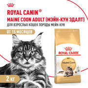 Royal Canin Maine Coon Adult Корм сухой сбалансированный для взрослых кошек породы Мэйн Кун