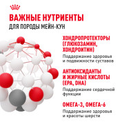 Royal Canin Maine Coon Adult Корм сухой сбалансированный для взрослых кошек породы Мэйн Кун