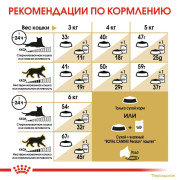 Royal Canin Persian Adult корм для Персидских кошек