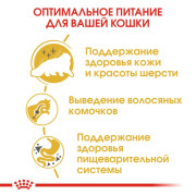 Royal Canin Persian Adult корм для Персидских кошек