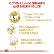 Royal Canin Siamese корм для сиамских кошек