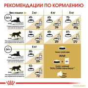 Royal Canin Sphynx корм для кошек породы Сфинкс