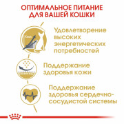 Royal Canin Sphynx корм для кошек породы Сфинкс