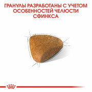 Royal Canin Sphynx корм для кошек породы Сфинкс