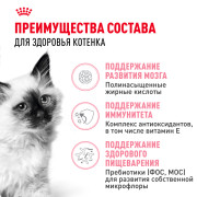 Royal Canin Kitten Корм сухой сбалансированный для котят в период второй фазы роста до 12 месяцев