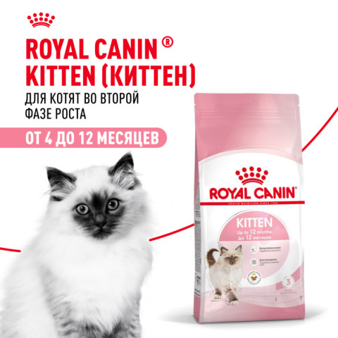 Royal Canin Kitten Корм сухой сбалансированный для котят в период второй фазы роста до 12 месяцев