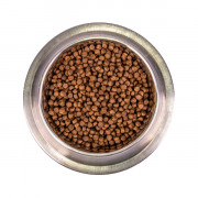 Monge Dog Extra Small корм для взрослых собак миниатюрных пород с курицей