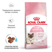 Royal Canin Mother & Babycat корм для котят