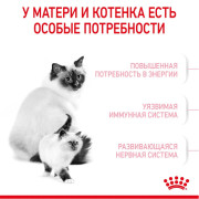 Royal Canin Mother & Babycat корм для котят