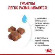 Royal Canin Mother & Babycat корм для котят
