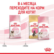 Royal Canin Mother & Babycat корм для котят