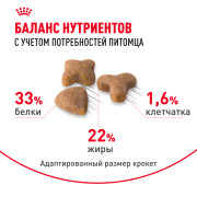 Royal Canin Sensible 33 Корм сухой сбалансированный для взрослых кошек с чувствительной пищеварительной системой