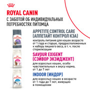 Royal Canin Sensible 33 Корм сухой сбалансированный для взрослых кошек с чувствительной пищеварительной системой