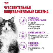 Royal Canin Sensible 33 Корм сухой сбалансированный для взрослых кошек с чувствительной пищеварительной системой