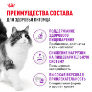 Royal Canin Sensible 33 Корм сухой сбалансированный для взрослых кошек с чувствительной пищеварительной системой