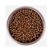 Monge Dog Speciality Extra Small корм для взрослых собак миниатюрных пород ягненок с рисом и картофелем