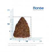 Monge Dog Speciality Hypoallergenic корм для собак гипоаллергенный лосось с тунцом