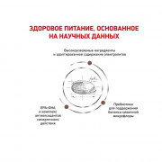 Royal Canin High Fibre FR 23 CANINE диета с повышенным содержанием клетчатки для собак при нарушениях пищеварения