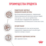 Royal Canin Gastrointestinal Fibre Response FR31 Корм сухой для кошек при запорах
