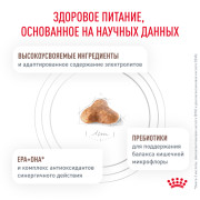 Royal Canin Gastrointestinal Fibre Response FR31 Корм сухой для кошек при запорах