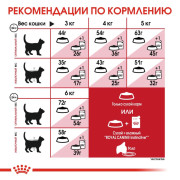 Royal Canin Fit 32 корм сухой сбалансированный для взрослых умеренно активных кошек от 1 года