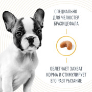 Royal Canin French Bulldog Puppy корм для щенков породы Французский Бульдог до 12 месяцев