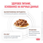 Royal Canin Gastrointestinal Корм консервированный диетический для кошек при острых расстройствах пищеварения
