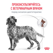 Royal Canin Gastrointestinal Корм сухой диетический для взрослых собак при расстройствах пищеварения