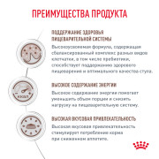 Royal Canin Gastrointestinal Корм сухой диетический для взрослых собак при расстройствах пищеварения