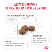 Royal Canin Gastrointestinal Корм сухой диетический для взрослых собак при расстройствах пищеварения