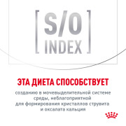 Royal Canin Gastrointestinal Корм сухой диетический для взрослых кошек, применяемый при острых расстройствах пищеварения, в реабилитационный период и при истощении