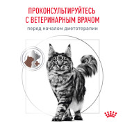 Royal Canin Gastrointestinal Корм сухой диетический для взрослых кошек, применяемый при острых расстройствах пищеварения, в реабилитационный период и при истощении