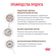 Royal Canin Gastrointestinal Корм сухой диетический для взрослых кошек, применяемый при острых расстройствах пищеварения, в реабилитационный период и при истощении